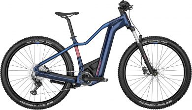 Bergamont E-Revox Premium Sport FMN