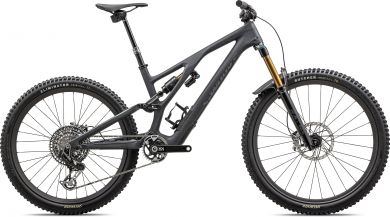 Specialized S-Works Stumpjumper EVO - 2024 