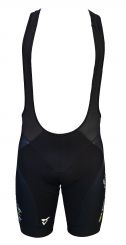 BIKESportWorld Team Race Bibshorts made by Cuore of Switzerland