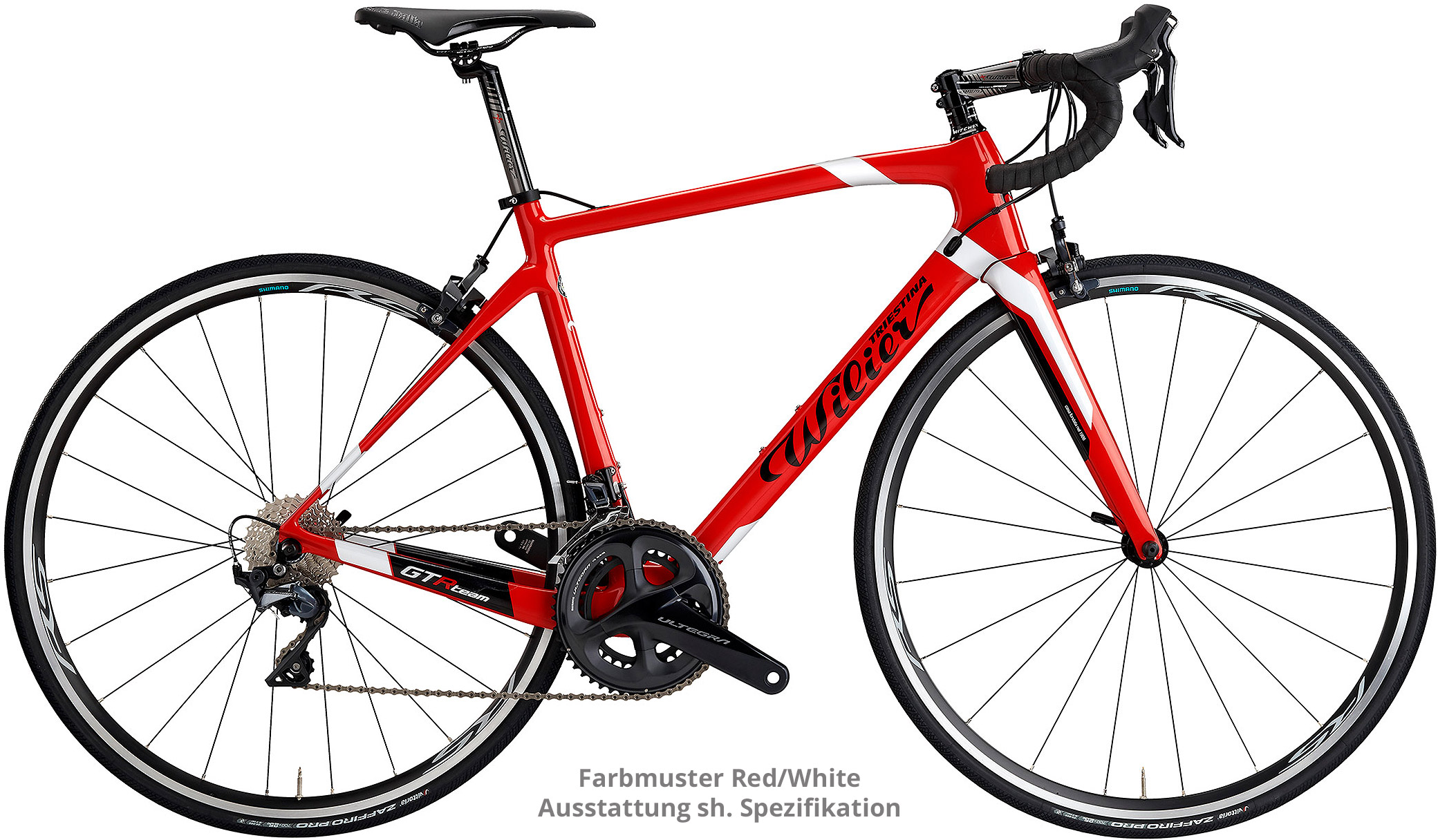 Wilier gtr team campagnolo 2025